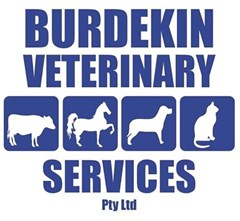 Logo for Burdekin Vet